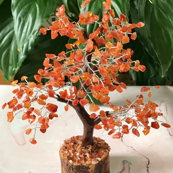 Carnelian Tree